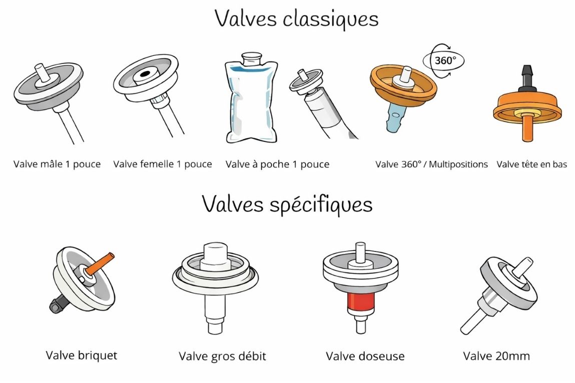 Types de valves : mâle, femelle, bag-on-valve, multiposition, upside-down, briquet, gros débit, metered et 20mm