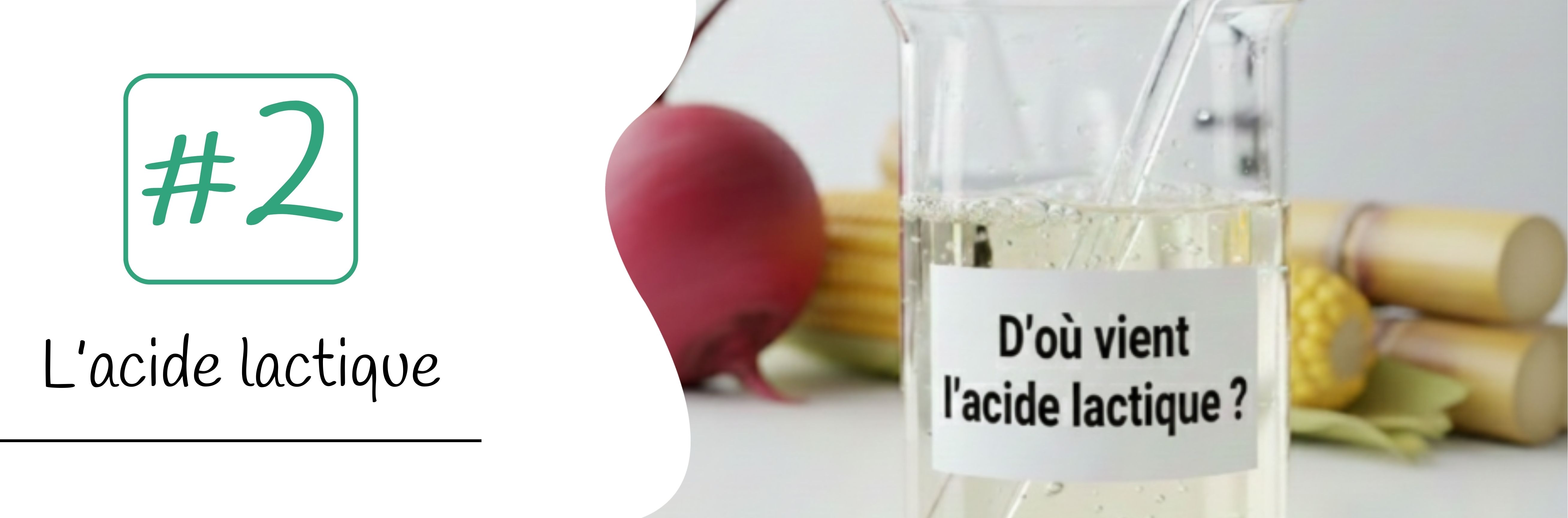 Bannière D'où vient l'acide lactique