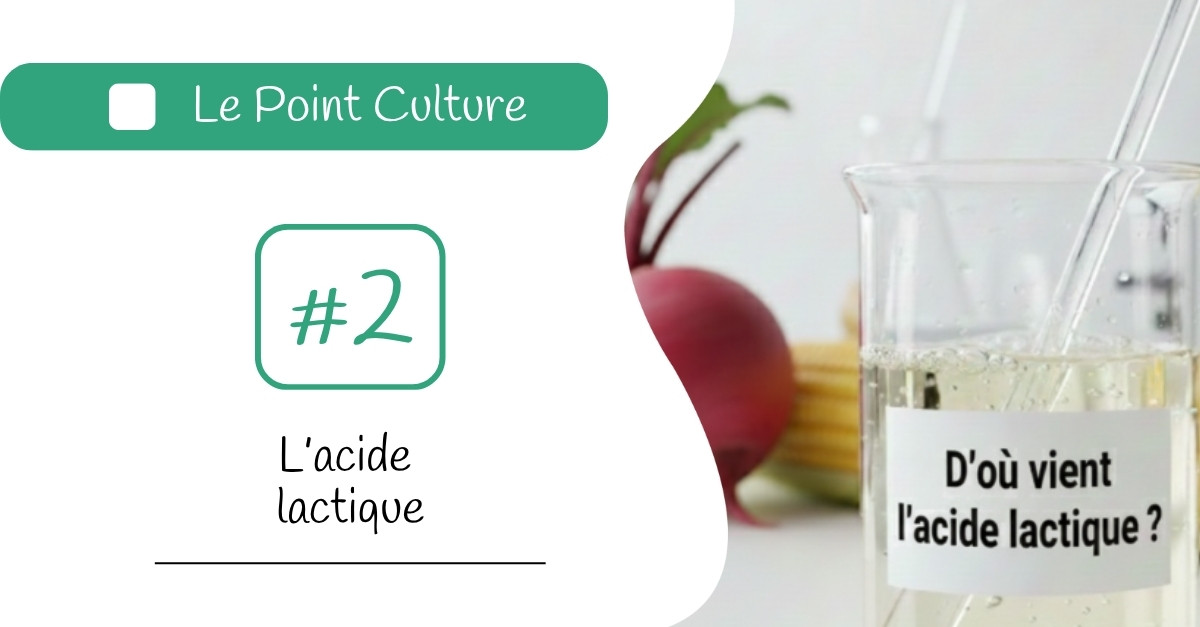 Point Culture N°2 : l'acide lactique