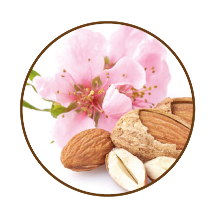 Almond