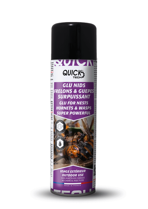 Glu surpuissante pour nids de guêpes et frelons